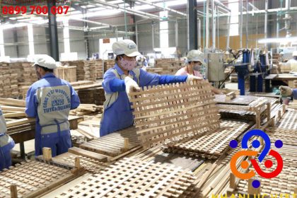 Dịch vụ Cho thuê lao động ngành gỗ tại Mỹ Phước