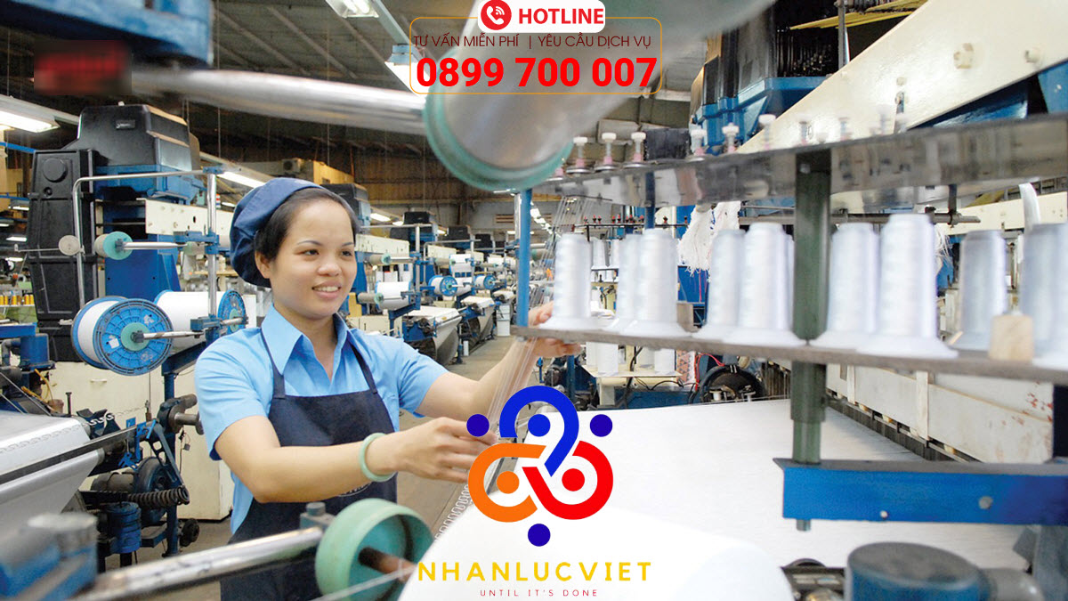 Dịch vụ cung ứng lao động tại Quận 2 TPHCM uy tín nhất từ Nhân Lực Việt