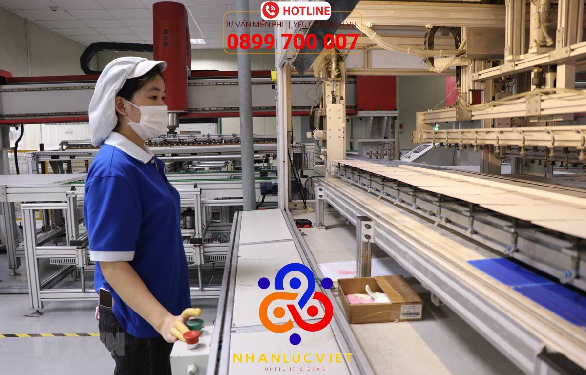 Dịch vụ cung ứng lao động quận Bình Tân Dịch vụ cung ứng lao động quận Bình Tân