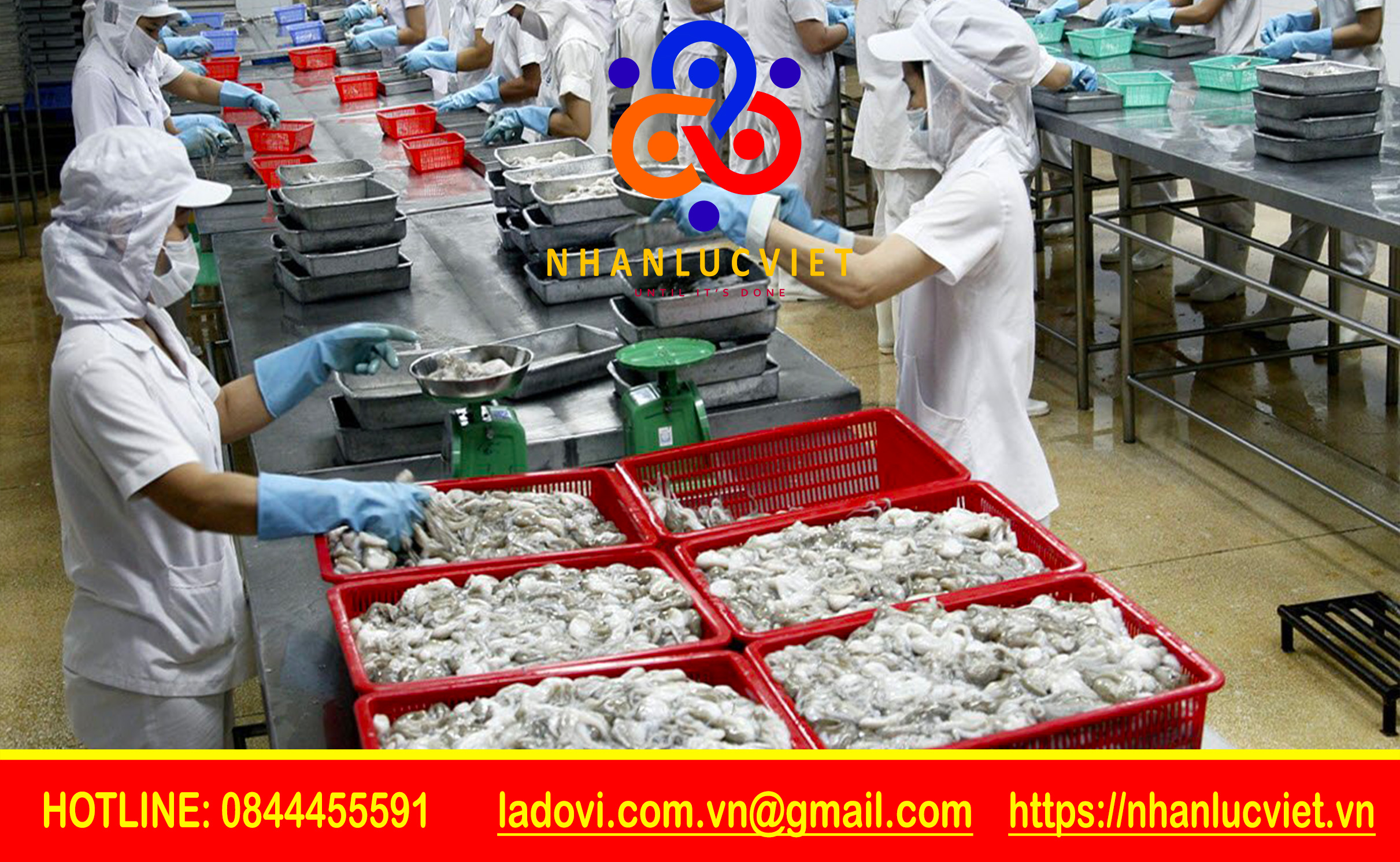 Dịch vụ cho thuê lao động tại Nhân Lực Việt