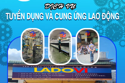 Dịch vụ tuyển dụng và cung ứng lao động